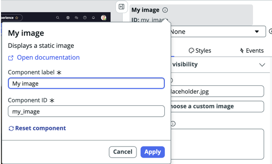 Image component label and ID.
