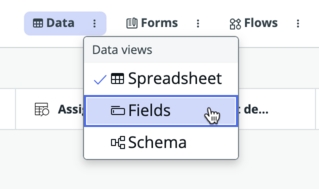 Choose theFields data view to add and configure fields in your table.