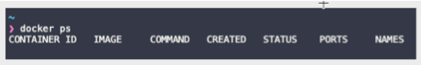 Command output to see if Docker is working