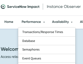 Options du menu Performance d’Instance Observer.