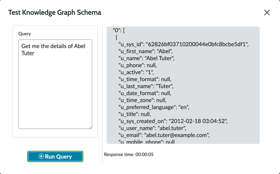 Test Knowledge Graph schema window.