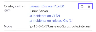 Configuration item on the preview panel Info tab.