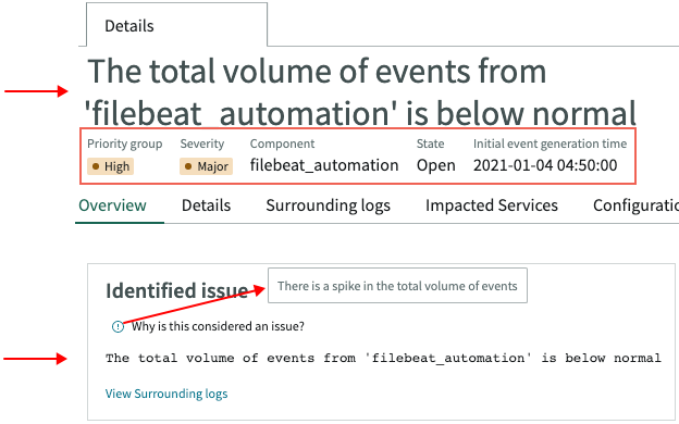 Identified issue appears here and in alert title.