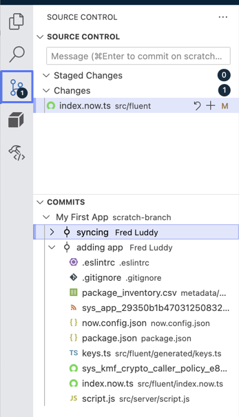 Source Control view