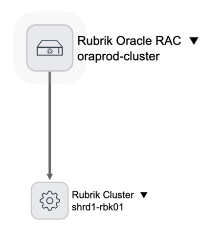 Rubrik Oracle RAC 의존성 뷰