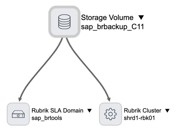 Rubrik 관리 볼륨 의존성 뷰