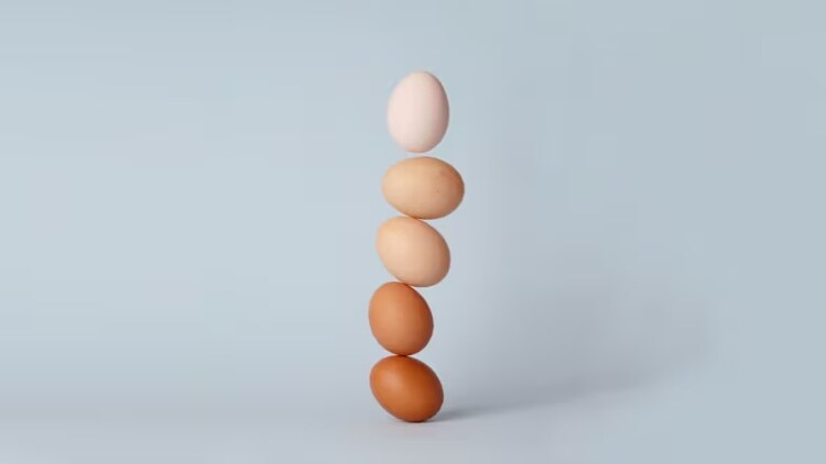Voici Yannis, le directeur général de ServiceNow France, pour qui raison d’être et diversité sont les priorités