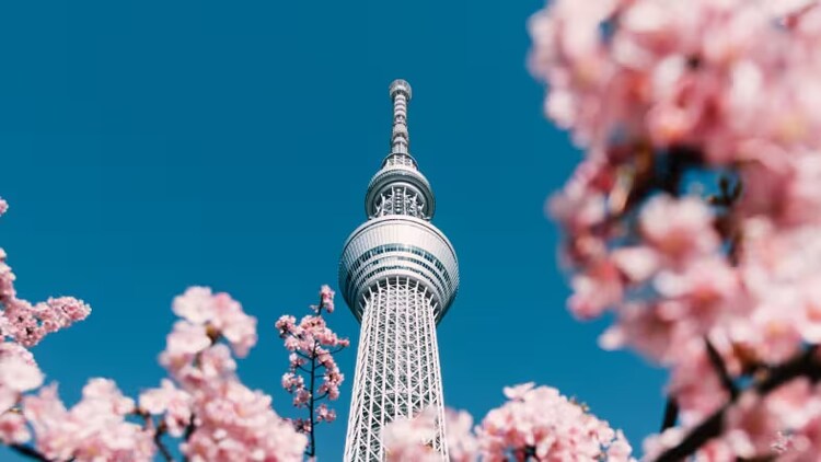 Bienvenue dans la version Tokyo de la Now Platform