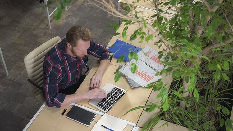 Flex office : le bureau du futur