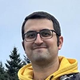 Avatar of Sina Hajimiri