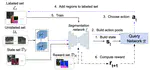 Reinforced Active Learning for Image Segmentation