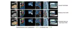 EquiAdapt: Equivariant Adaptation of Large Pretrained Models