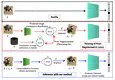 Equivariant Adaptation of Large Pre-Trained Models