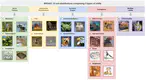 Expecting The Unexpected: Towards Broad Out-Of-Distribution Detection