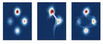 Neural Autoregressive Flows