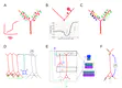 Neocortical plasticity: an unsupervised cake but no free lunch