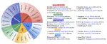BigDocs: An Open and Permissively-Licensed Dataset for Training Multimodal Models on Document and Code Tasks