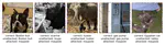 Adversarial Framing for Image and Video Classification