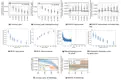 The Dynamics of Functional Diversity throughout Neural Network Training