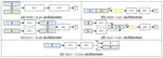 Does entity abstraction help generative Transformers reason? 