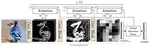 Pay attention to the activations: a modular attention mechanism for fine-grained image recognition