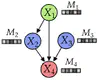 Causal Discovery With Metadata-Informed Latent Types