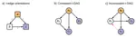 Typing assumptions improve identification in causal discovery - theory and algorithms