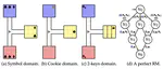 Searching for Markovian Subproblems to Address Partially Observable Reinforcement Learning
