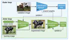 Learning Data Augmentation with Online Bilevel Optimization for Image Classification