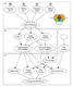 Flaky Performances when Pre-Training on Relational Databases with a Plan for Future Characterization Efforts