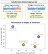 Are Online Skill and Memory Modules Always Worth Their Tokens? A Budget-Constrained Study of Web Agents