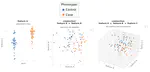 RandomSCM: interpretable ensembles of sparse classifiers tailored for omics data