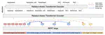 DuoRAT: Towards Simpler Text-to-SQL Models