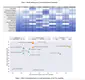 GEO-Bench-2: From Performance to Capability, Rethinking Evaluation in Geospatial AI
