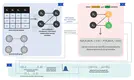Benchmarking Bayesian Causal Discovery Methods for Downstream Treatment Effect Estimation