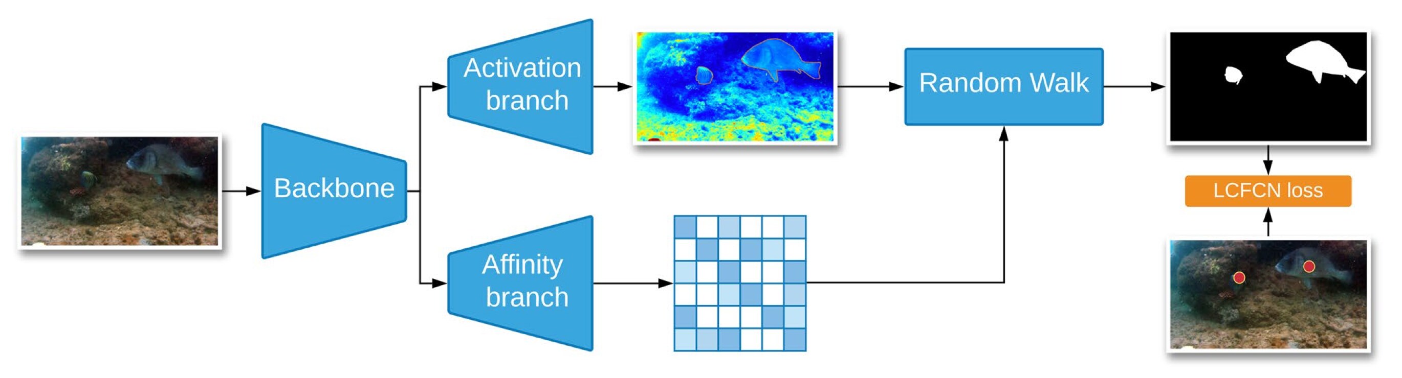 Fish Segmentation Pattern Weakly Supervised Underwater Fish Segmentation Using Affinity LCFCN ...