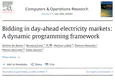 Bidding in day-ahead electricity markets: A dynamic programming framework