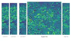 HighRes-net: Recursive Fusion for Multi-Frame Super-Resolution of Satellite Imagery
