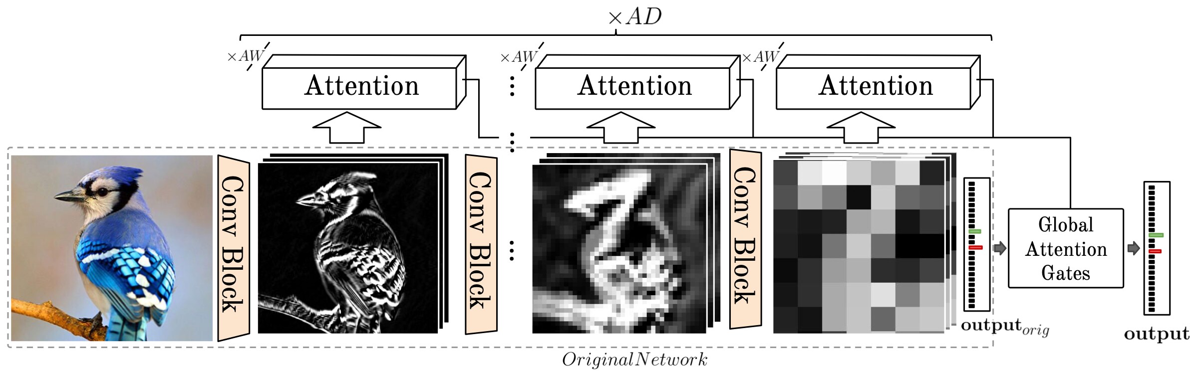 Pay attention to the activations: a modular attention mechanism for ...
