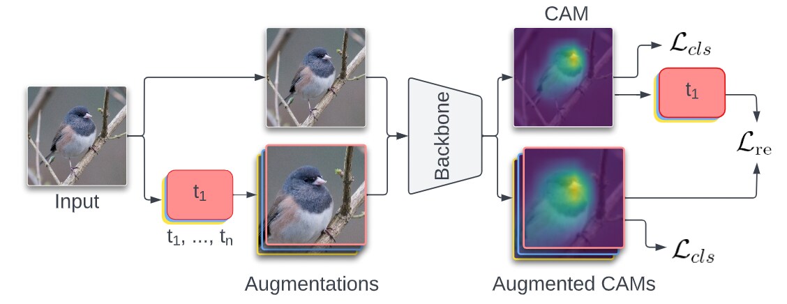 Consistency-CAM: Towards Improved Weakly Supervised Semantic ...