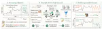 Dr-CiK: A Testbed for Foresight-Driven Agents